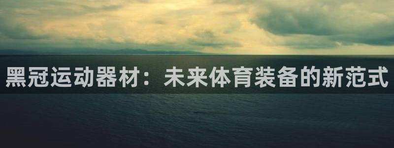 风速体育官网下载招商电话是多少:黑冠运动器材:未来体育装备的