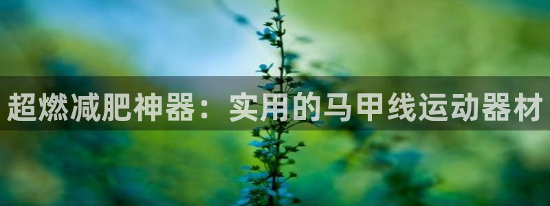 风速体育官方正版app官方:超燃减肥神器:实用的马甲线运动器